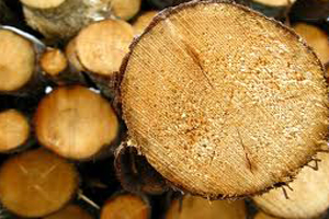 Reclaimed timber