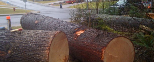 Salvaged yard timber