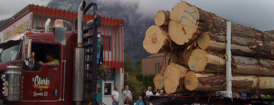 Logs from sustainable BC forests
